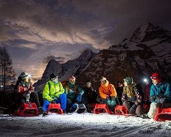 阿尔卑斯山的雪人传说·科学视角下的真相与想象