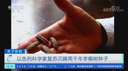 谁在翻以色列的“业力账本”？历史这面镜子，照见的都是人性…