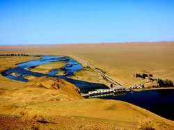 丰收荒漠地龙：不起眼的小虫子，竟然是沙漠变绿洲的秘密武器