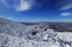 雪山上的神秘面纱｜揭开雪山白泽毒雾的神秘面纱