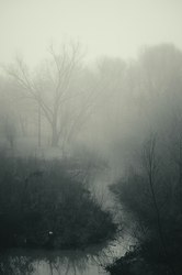 迷雾深处的秘密—地下河道的无名合照