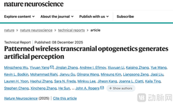 神秘光体激活，现场震撼瞬间揭秘！
