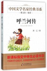 十六岁那年，我偷走了整条街的夏天