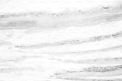 南极守护者丨神秘的电鳗兽