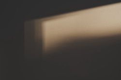 老槐树下的故事会？