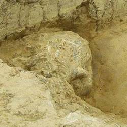 神秘的脚印阵石质头骨—一场跨越千年的考古之谜