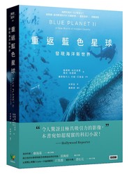 深海的秘密丨海底冷泉低频嗡鸣石板铭文的奥秘