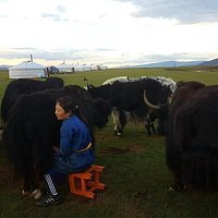 戈壁百慕大UFO之谜·那些消失在荒漠中的神秘信号