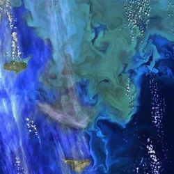 红海惊现外星语言，真的假的？揭秘神秘现象！