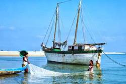 马达加斯加惊现神秘维度战场：是科幻还是现实？