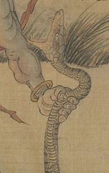 深海中的“鸟身女妖”丨神秘的深渊居民