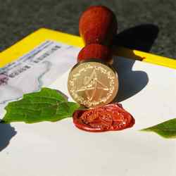 深海里的克苏鲁｜揭开大西洋“旧日支配者”巨型乌贼的神秘面纱