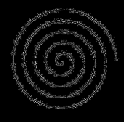 透明人螺旋符号：从神秘到解码的奇幻旅程