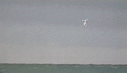 深夜看天，我看见了猎户座的“影子”！