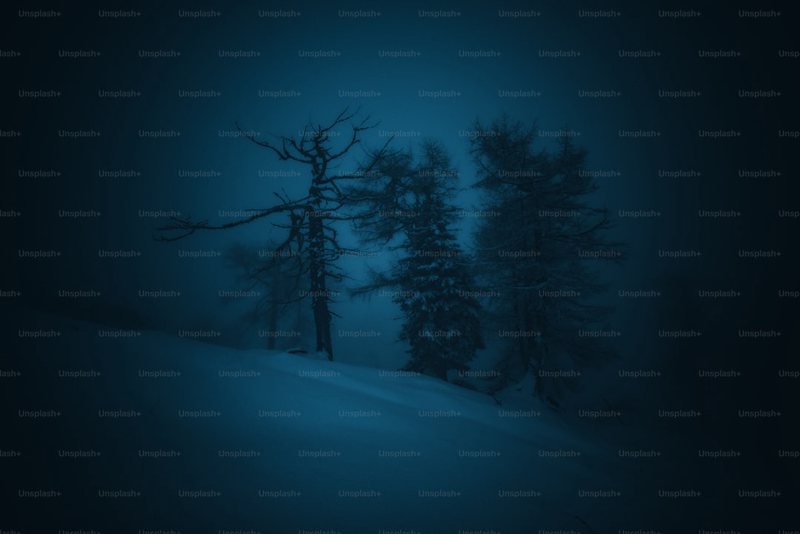 雪山暗夜精灵的神秘祭祀—一场与自然的古老对话 雪山暗夜精灵的神秘祭祀—一场与自然的古老对话