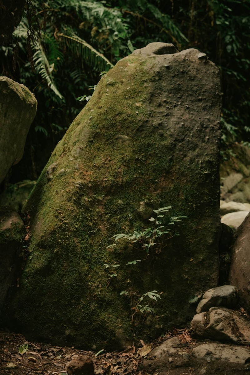 神秘亚马孙丨石像残件地光背后的秘密 神秘亚马孙丨石像残件地光背后的秘密