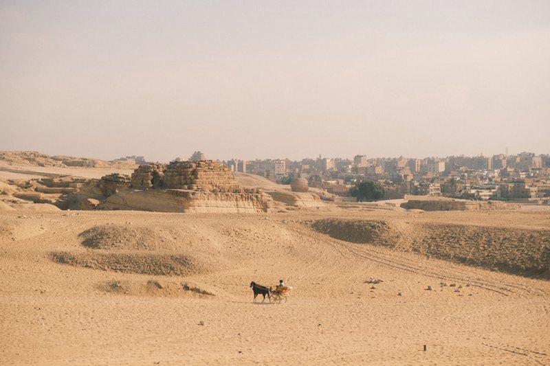 沙漠里的玫瑰与铁皮屋！