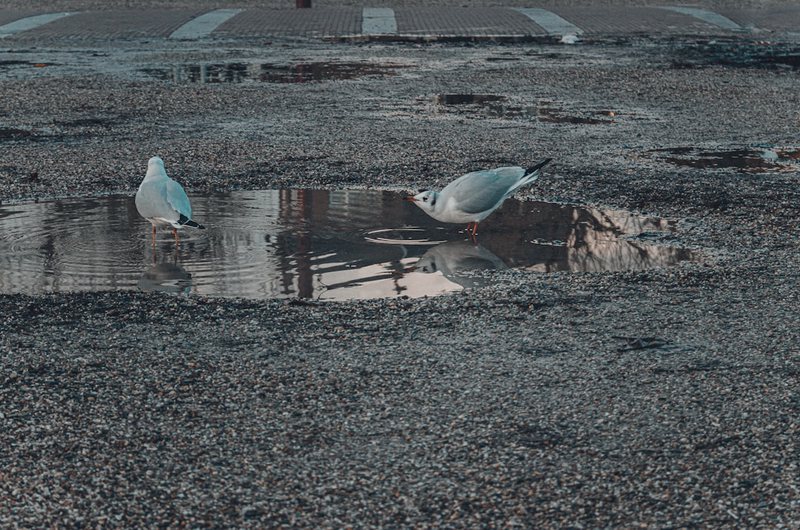 神秘宇宙碎片｜漂浮巨石宇航残骸之谜