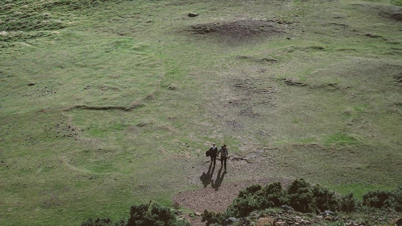 北美诅咒火蜥丨沙漠中的“火焰使者”为何如此神秘？