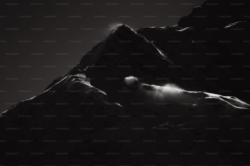 深夜的森林里藏着“暗夜精灵”？揭秘阿尔卑斯山发光蘑菇的治愈魔法…