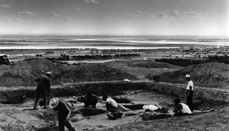 黑森林的秘密丨漂浮巨石与刻度骨针的奇缘