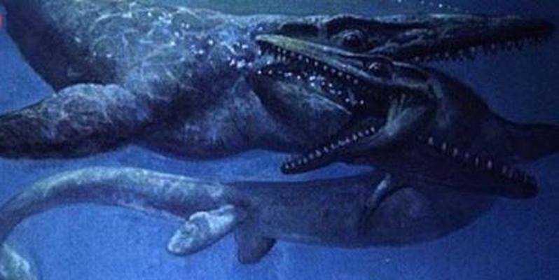 远古巨兽·大洋洲的云中之王 远古巨兽·大洋洲的云中之王