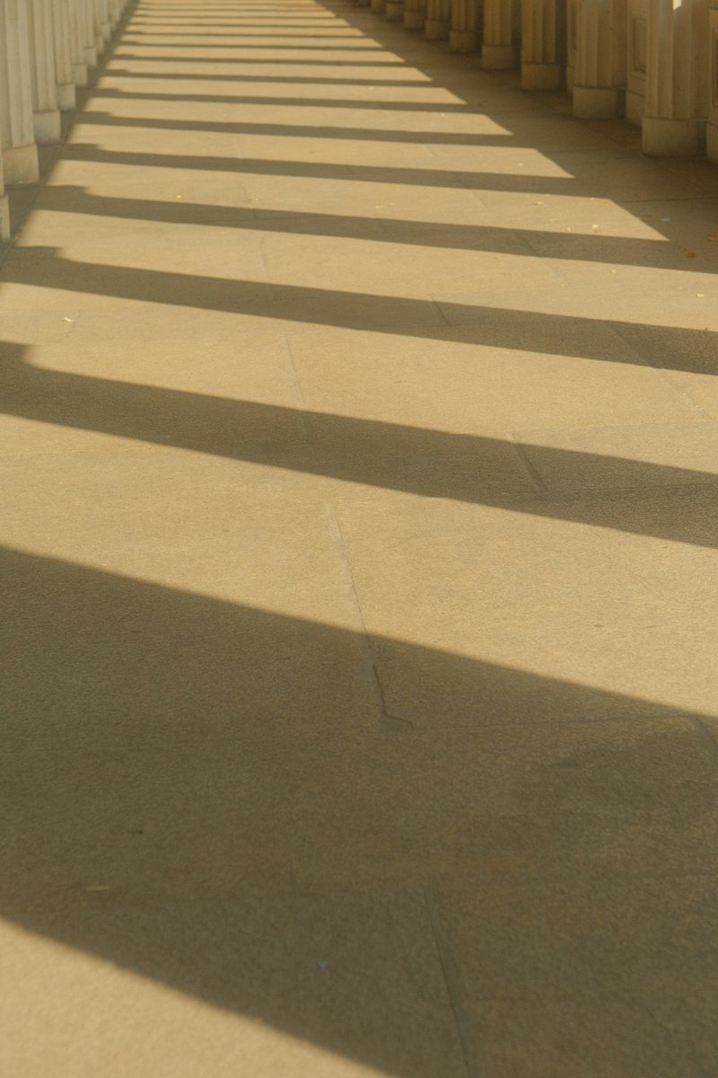 神秘的火焰守护者｜揭秘烈焰大洋洲银龙的传奇之旅