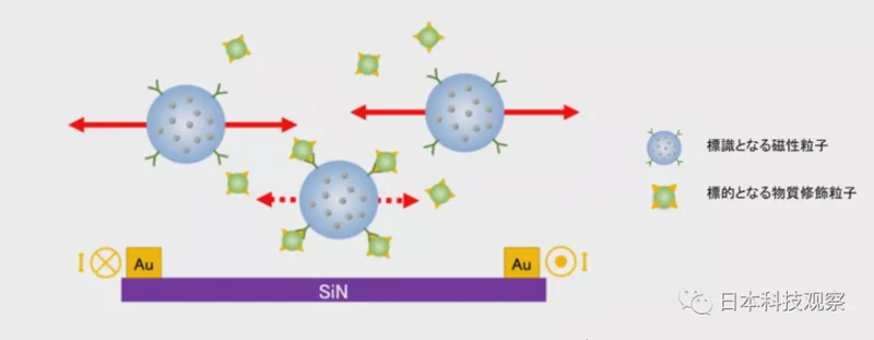 照片里的秘密：视觉证据如何悄悄改变你的想法