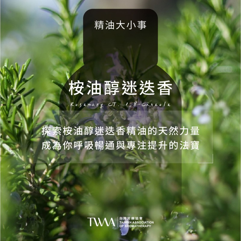 迷迭香在风里说话…