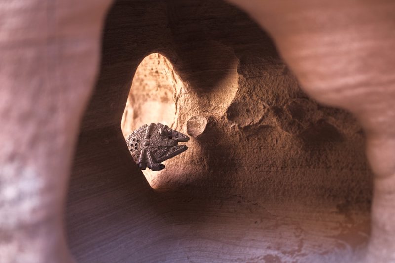 密洞里的镜子，照出的不是光，是动物的梦！