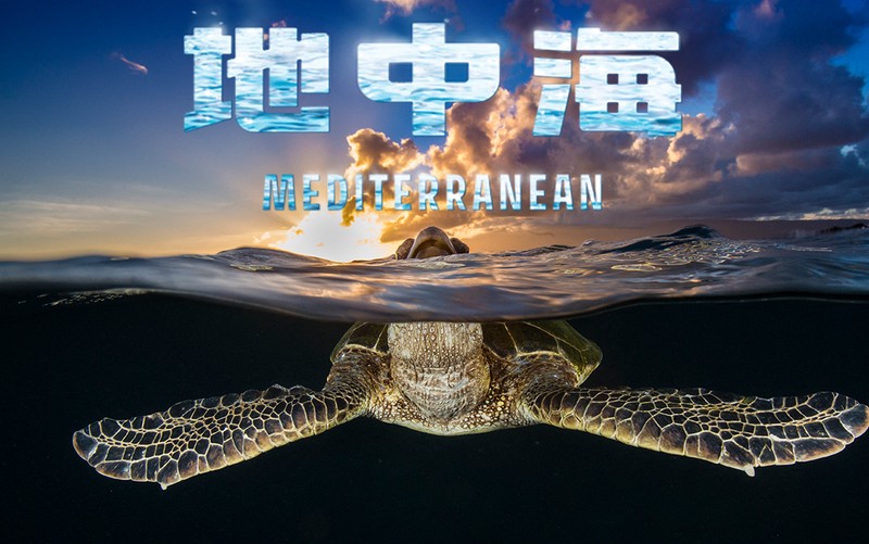 我外婆的柠檬水，到底在哪儿？