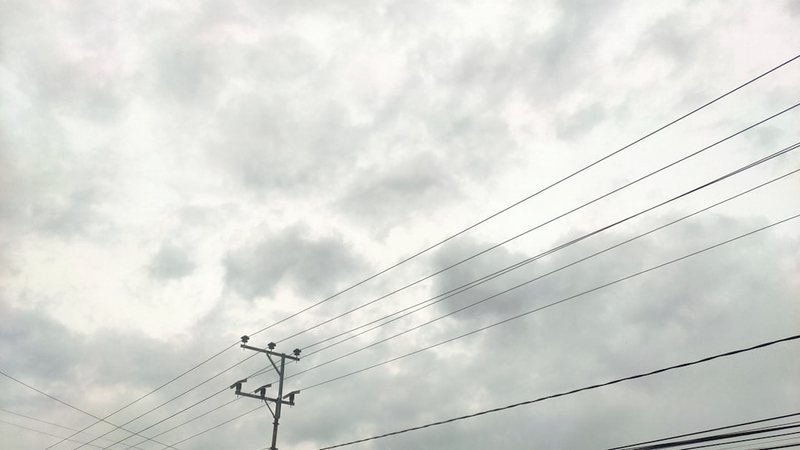 雨林中的闪电丨自然界的电能狂魔