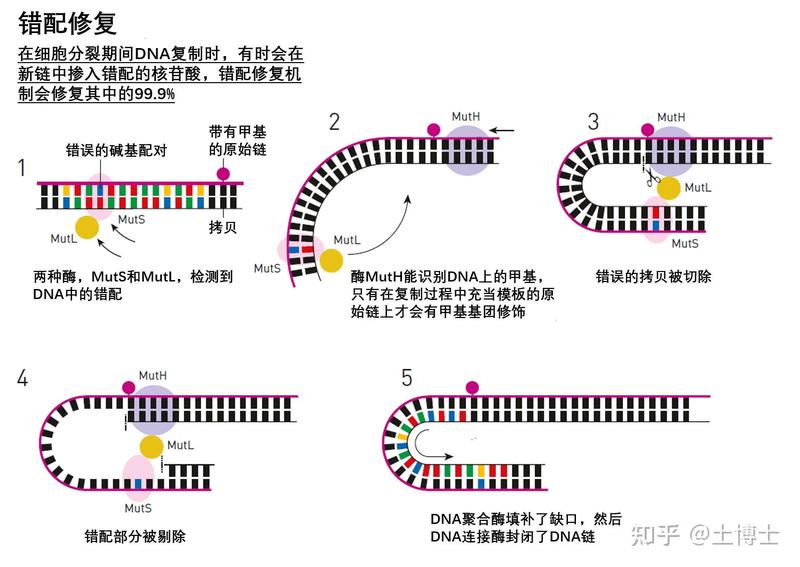 大西洋DNA修改档案—科技与自然的博弈 大西洋DNA修改档案—科技与自然的博弈
