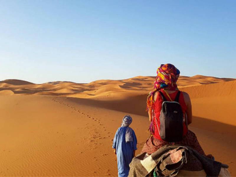 荷西的寻找之旅…