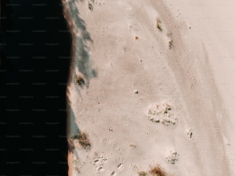 百慕大巨响背后的神秘鳞片之谜! 百慕大巨响背后的神秘鳞片之谜!