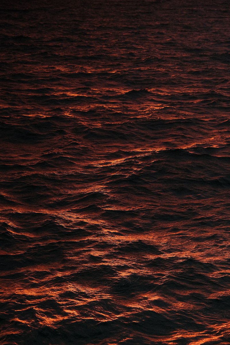 红海目击·那些被遗忘的神秘瞬间 红海目击·那些被遗忘的神秘瞬间