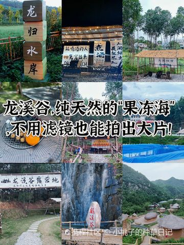 昆仑水马迷宫丨神秘高原上的生命奇迹