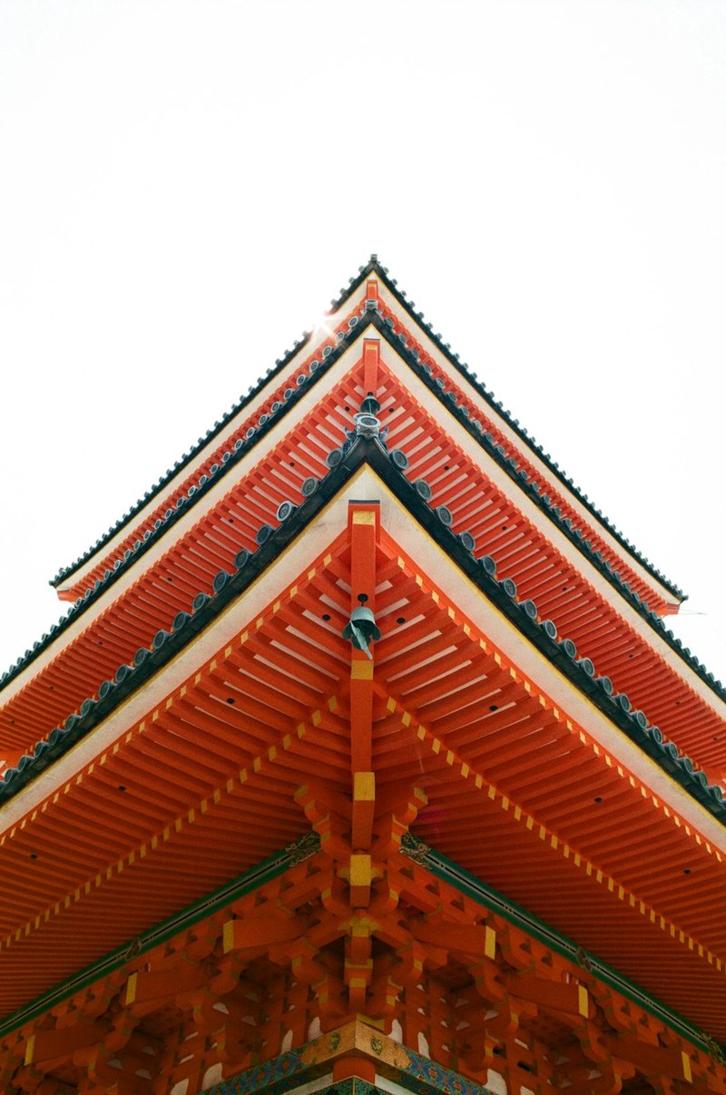 巴布亚日本龙三角调查：神秘现象背后的真相？