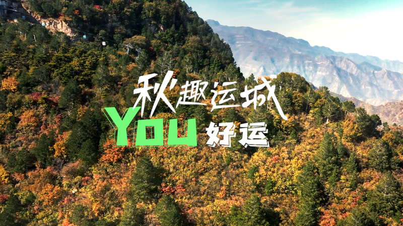 阿尔卑斯丰收烛龙丨揭秘神秘的山地守护者