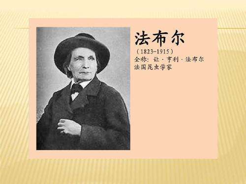 法布尔与他的昆虫王国？