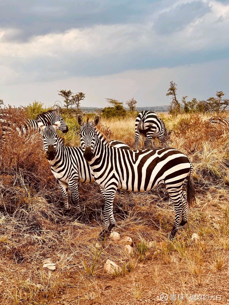 深渊日记·那晚，地下迷宫的动物集体“离家出走”了
