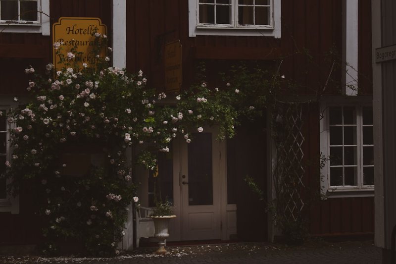 在光影交错的斯堪的纳维亚·每个瞬间都是目击证词