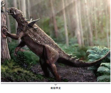 南极海底的“发光地龙”·当冰原之下，上演一场赛博朋克式的生命秀