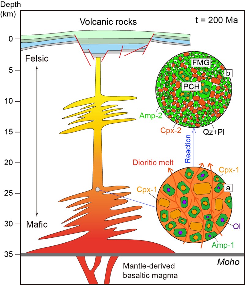 金属骨骼·高加索人的历史与现代选择