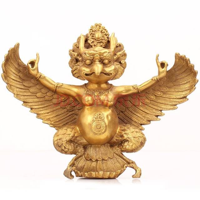 西方金翅大鹏|迁徙之谜背后的自然奇迹 西方金翅大鹏|迁徙之谜背后的自然奇迹