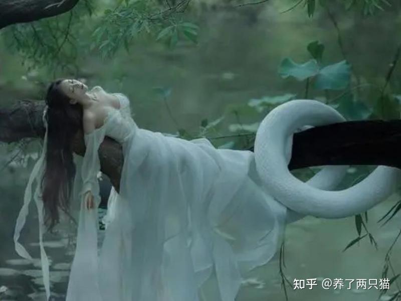 南极的天空·一场冰与火的奇幻之旅