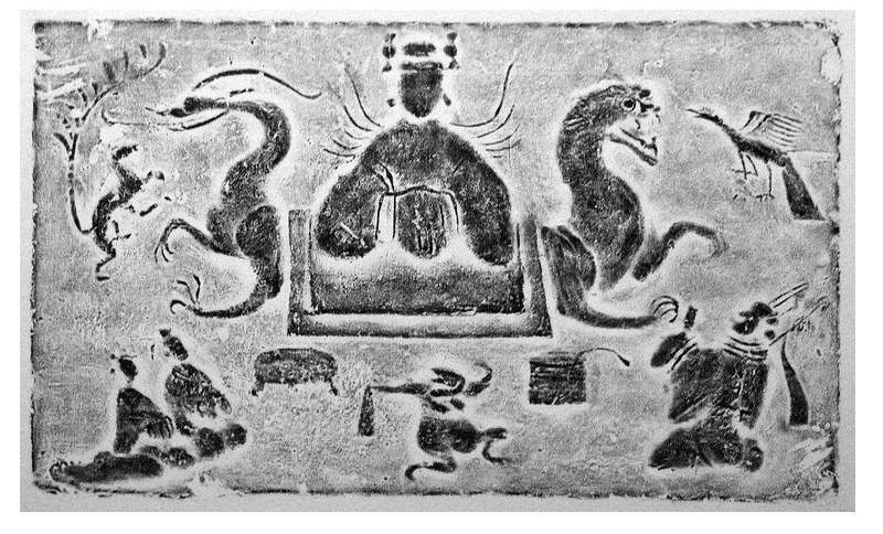 深海里的“隐身术”丨当神话遇见科学，昆仑鲛人真的会隐身吗？