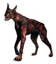 探寻远古神话中的神秘生物丨地狱犬的传说与科学