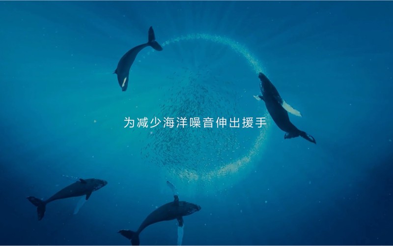 深渊里的回响丨当鲸鱼骨笛遇见海沟热泉