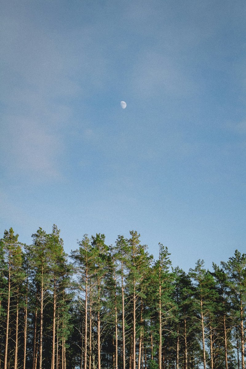 瑞典月球异常档案：那些被刻意掩盖的真相